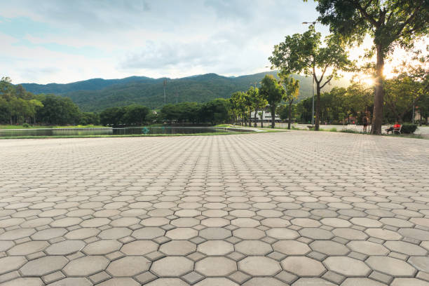 Best Best Driveway Pavers  in Port Byron, NY