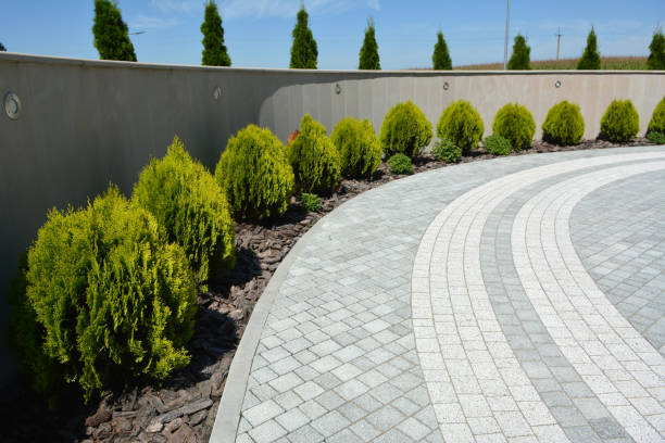 Reasons to Select Us for Your Driveway Paving Requirements in Port Byron, NY